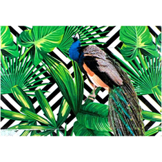 Hire TROPICAL LEAVES PEACOCK 2 Backdrop Hire 3.5mW x 3mH
